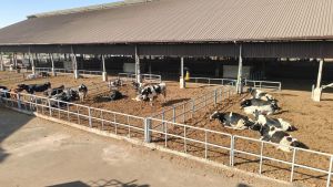 WhatsApp_Image_2026-01-23_at_10.56.32_AM_1